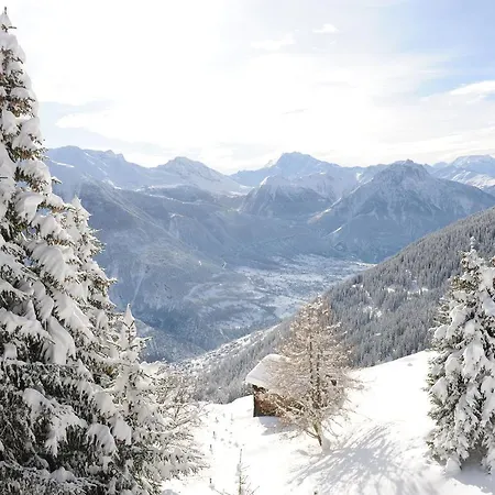 Comfy In With Balcony Riederalp
